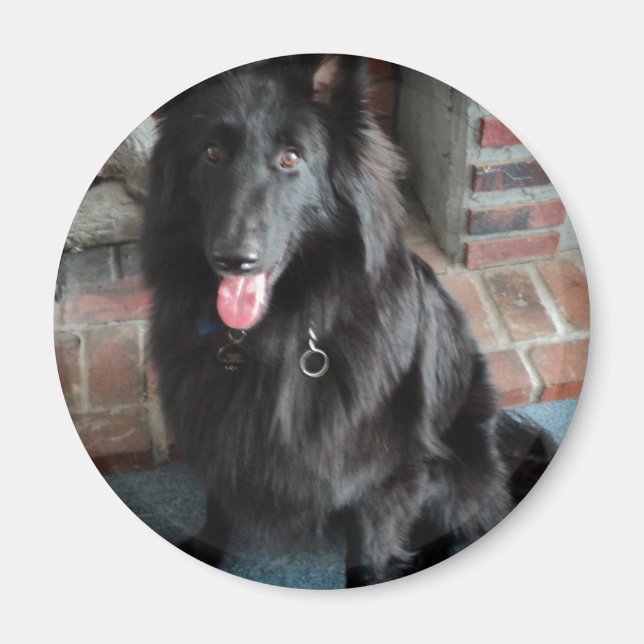 Imán Pastor belga conocido como "El Lobo Negro" (Frente)