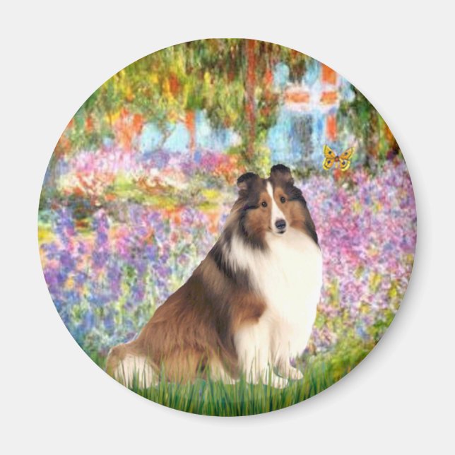 Imán Pastor de Shetland 7 - Jardín (Frente)