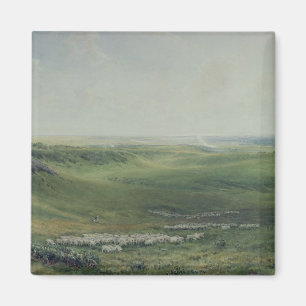 Imán Pastos anchos, Sussex
