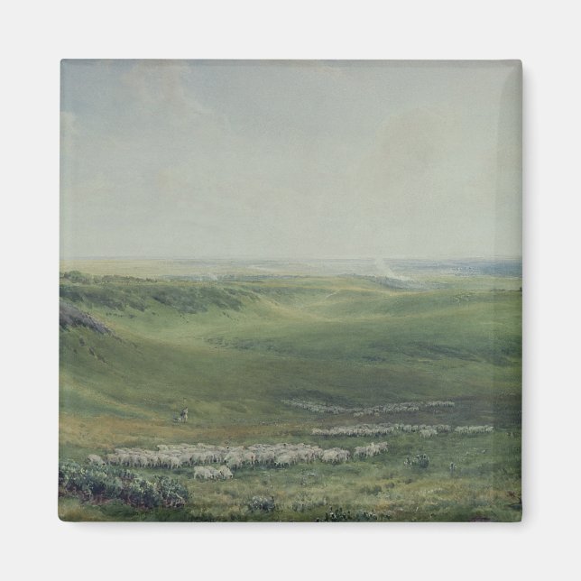 Imán Pastos anchos, Sussex (Frente)