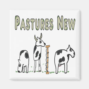 Imán Pastos nuevos