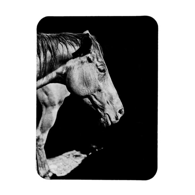 Imán pata de caballo cabeza (Vertical)