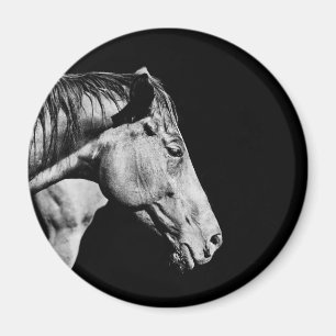 Imán pata de caballo cabeza
