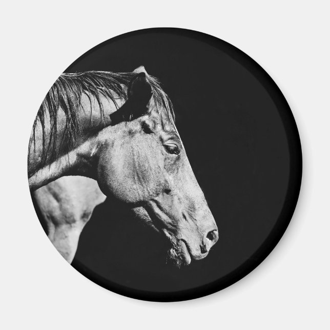 Imán pata de caballo cabeza (Frente)