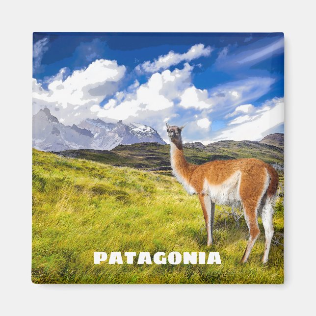 Imán Patagonia Magnet (Frente)