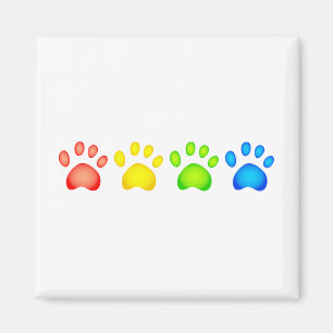 Imán Patas coloridas