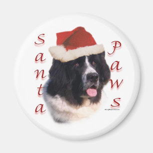Imán Patas de Terranova (landseer) Santa
