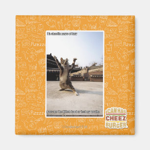 Imán Patas del shaolin del iz I de la furia