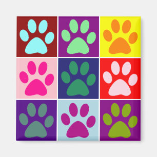 Imán Patas multicolores