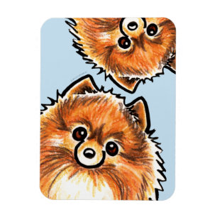 Imán Patas rojas de Pomeranian para arriba