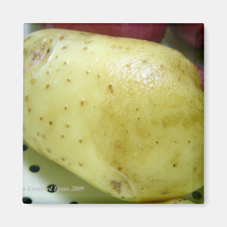 Imán Patata del oro del Yukón