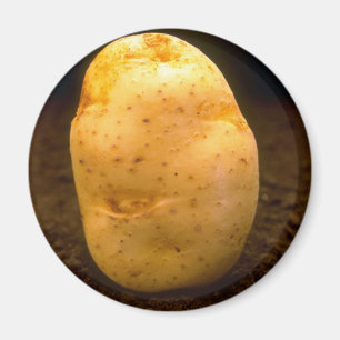 Imán Patata en la suciedad