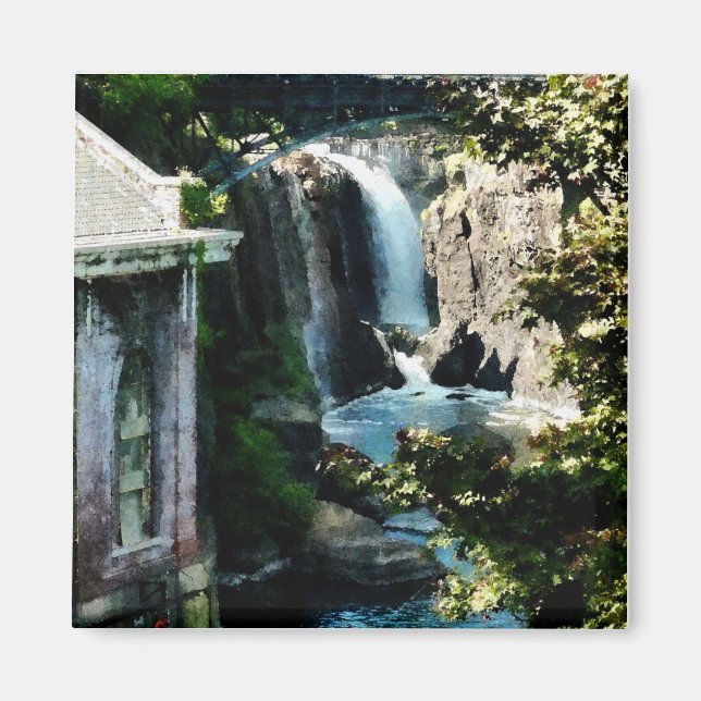 Imán Paterson Falls (Frente)