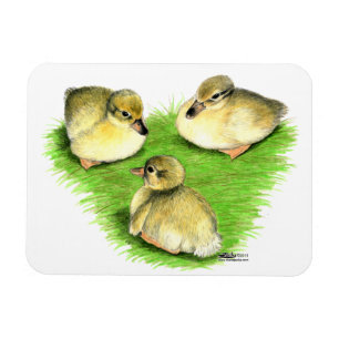 Imán Patitos de Ánade Real nevados