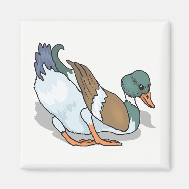 Imán Pato (Frente)