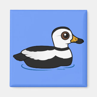 Imán Pato de Labrador (nado)