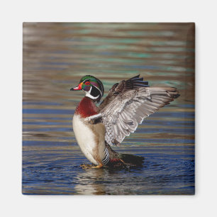 Imán Pato de madera