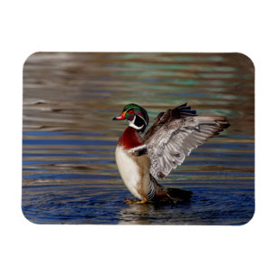 Imán Pato de madera