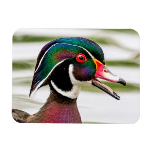 Imán Pato de madera