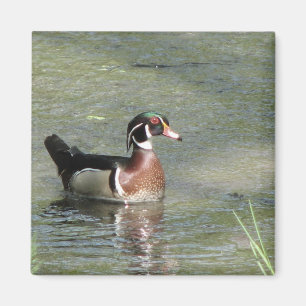 Imán Pato de madera