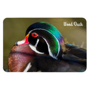 Imán Pato de madera