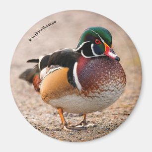 Imán Pato de madera en grava