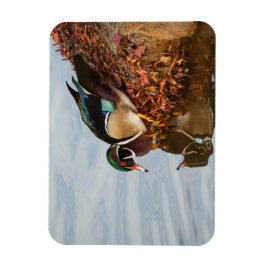 Imán Pato de madera en la orilla