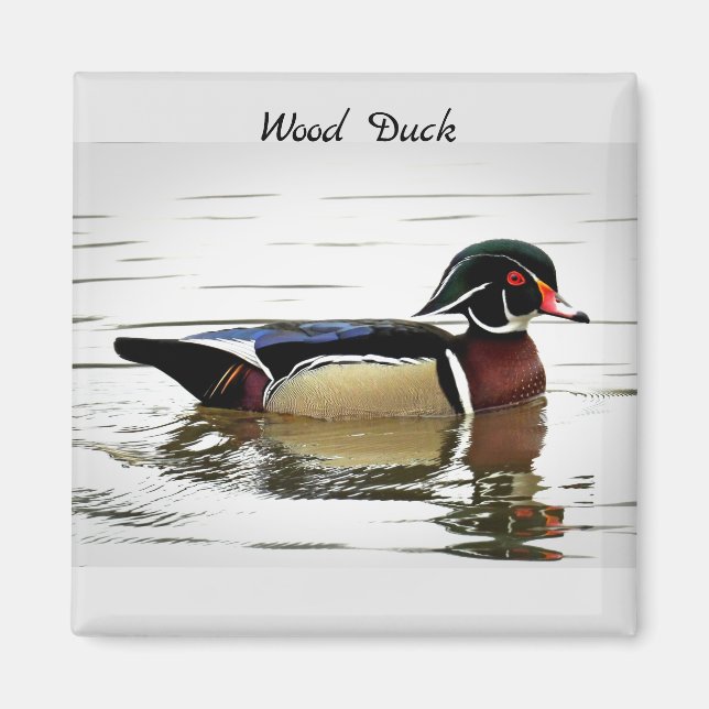 Imán Pato de madera (macho) (Frente)