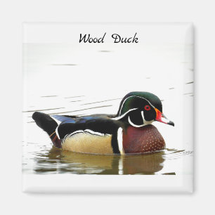 Imán Pato de madera (macho)