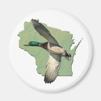 Imán Pato de Wisconsin