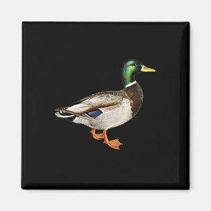 Imán Pato Drake Mallard Logo de Bolsillo Patos Silbones