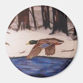 Imán Pato Mallard en una misión