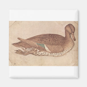 Imán Pato - Pisanello