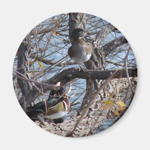 Imán Patos de madera en un árbol