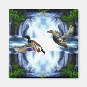 Imán Patos del pato silvestre