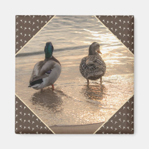 Imán Patos en la playa