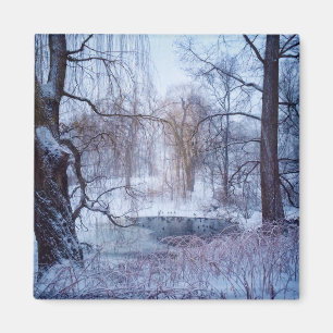 Imán Patos en un estanque congelado en el Parque Centra