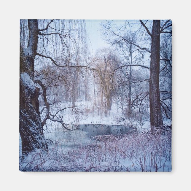 Imán Patos en un estanque congelado en el Parque Centra (Frente)