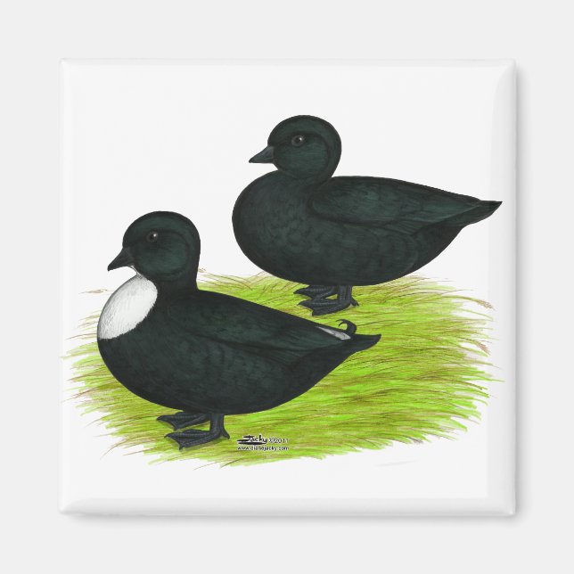 Imán Patos: Llamadas negras (Frente)