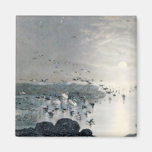 Imán Patos, pajares y cisnes en el lago al atardecer