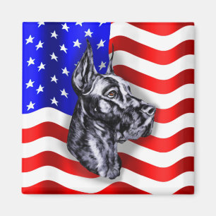 Imán Patriot Dane Black Magnet