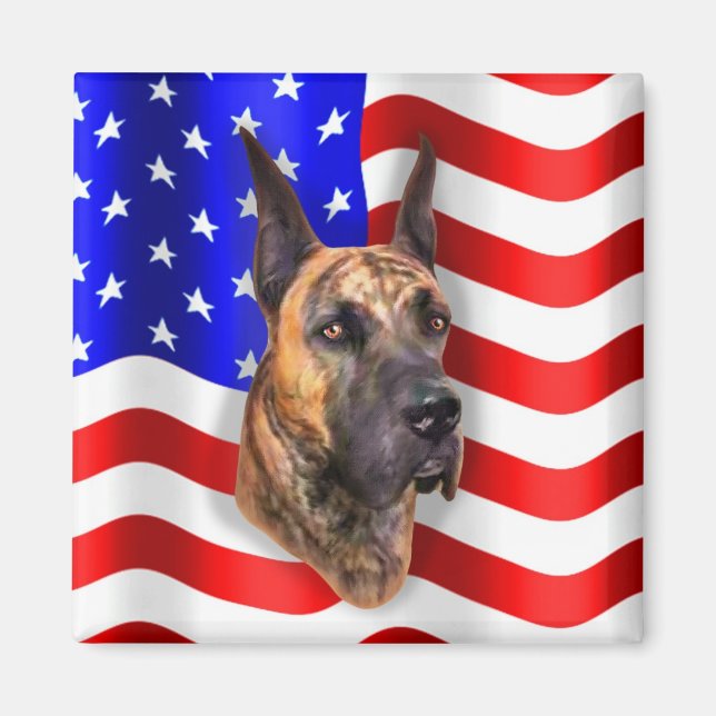 Imán Patriot Dane Brindle (Frente)