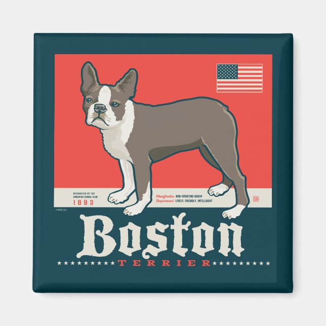 Imán Patriótico | Boston Terrier (Frente)