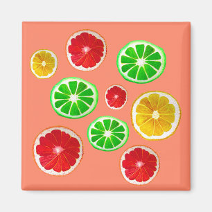 Imán Patrón de cítricos de fruta de juicy