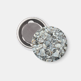 Imán Patrón de deriva de conchas costeras