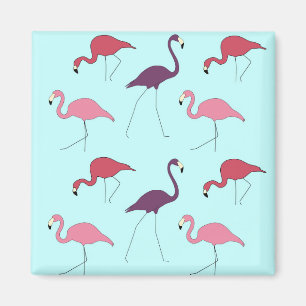 Imán Patrón de flamencos