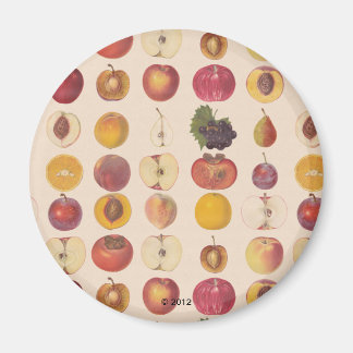 Imán Patrón de frutas de cosecha de vintage