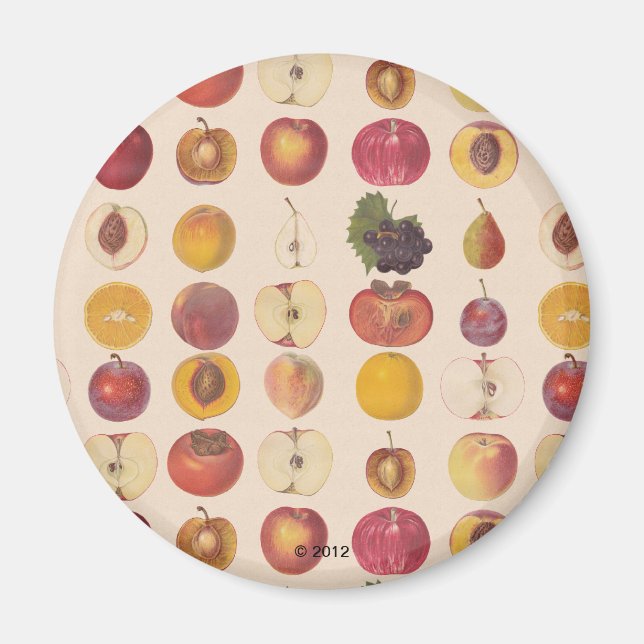 Imán Patrón de frutas de cosecha de vintage (Frente)