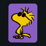 Imán Patrón de gafas de sol Guay Woodstock<br><div class="desc">Echa un vistazo a este diseño super lindo con Woodstock usando gafas de sol geniales.</div>