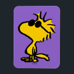 Imán Patrón de gafas de sol Guay Woodstock<br><div class="desc">Echa un vistazo a este diseño super lindo con Woodstock usando gafas de sol geniales.</div>